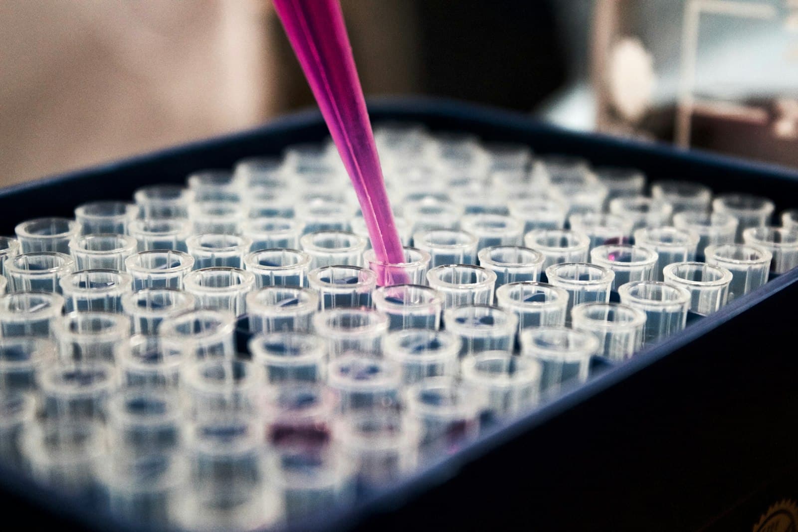 Nanoparticles Reverse Alzheimer's Disease: Inside the Breakthrough 'Nano-ERASER' Cellular Reprogramming Study